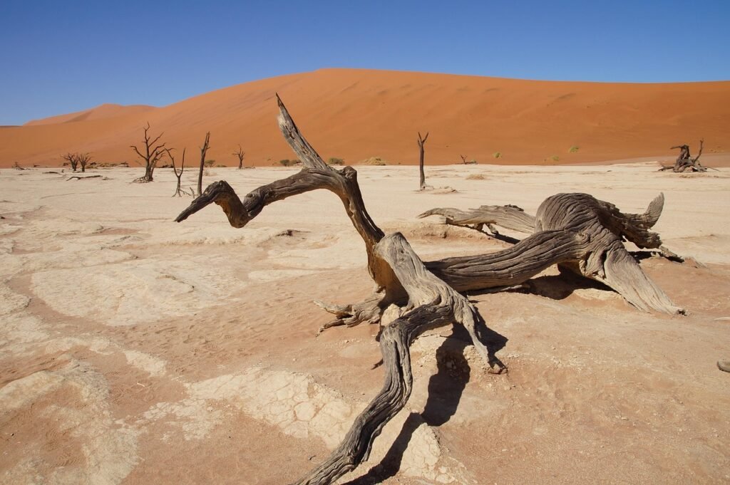 namibia, africa, namib desert, nature, dead vlei, desert