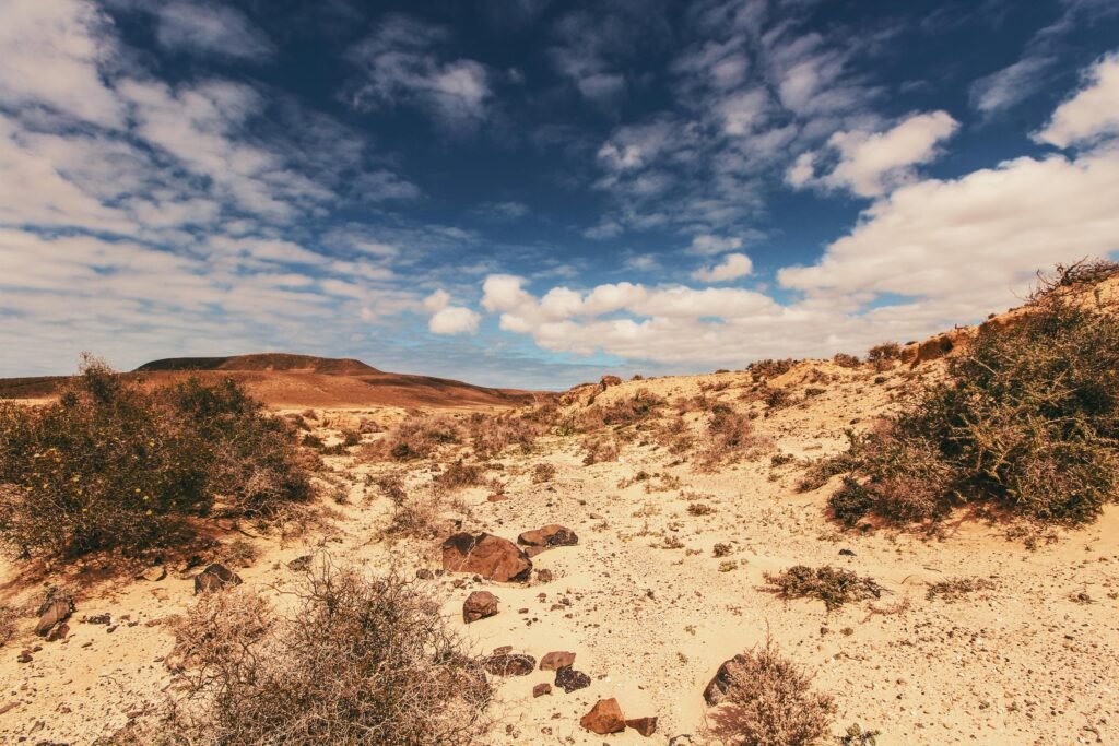Expansive desert landscape under a bright blue sky with scattered clouds, showcasing nature's arid beauty.