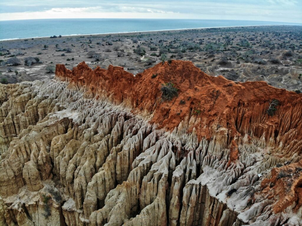 jorge sa pinheiro 1vqrywqomty unsplash jorge sa pinheiro 1vqrywqomty unsplash